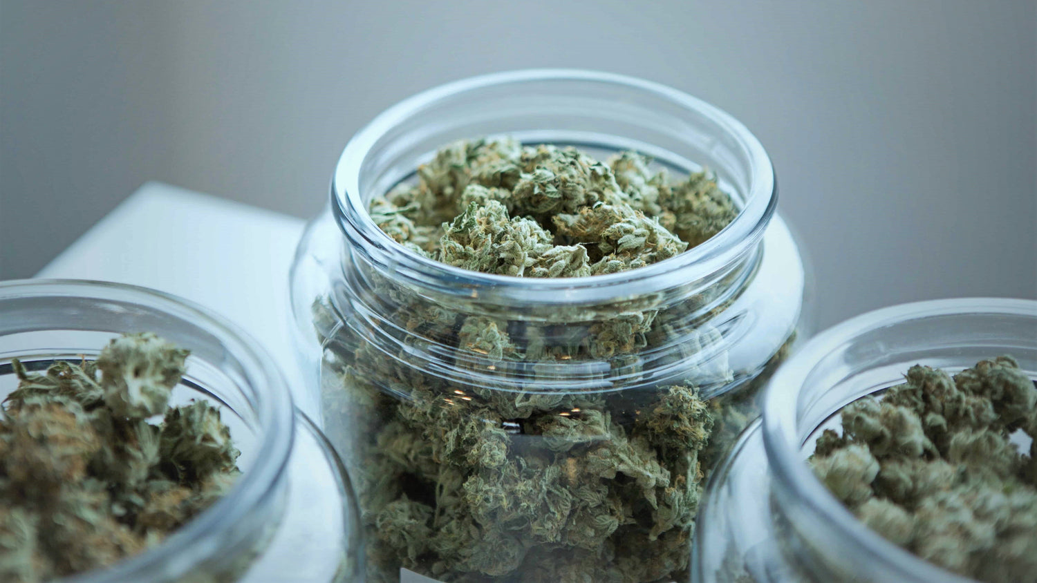 3 Gläser gefüllt mit CBD Blüten