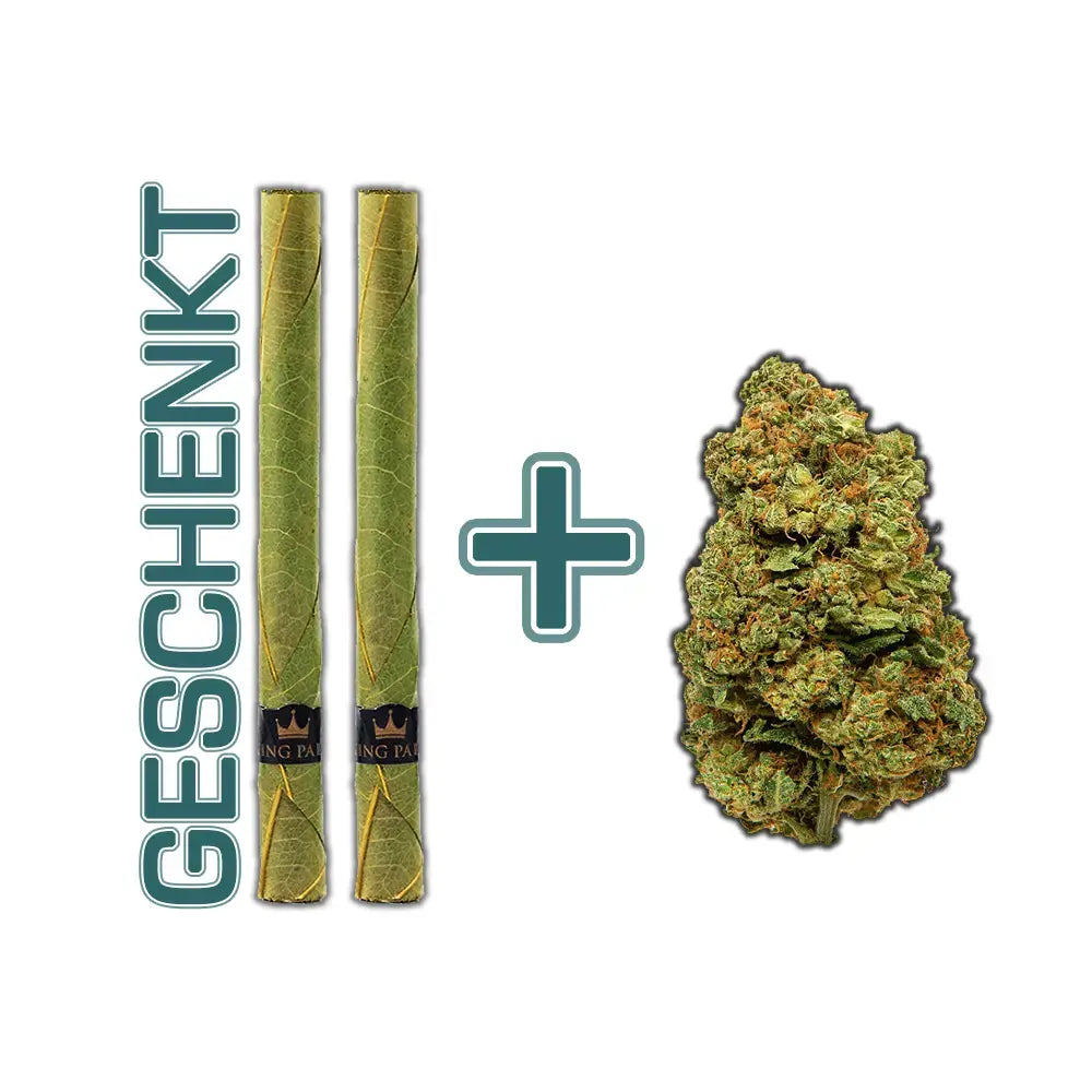 CBD Blüten und Blunts Bundle
