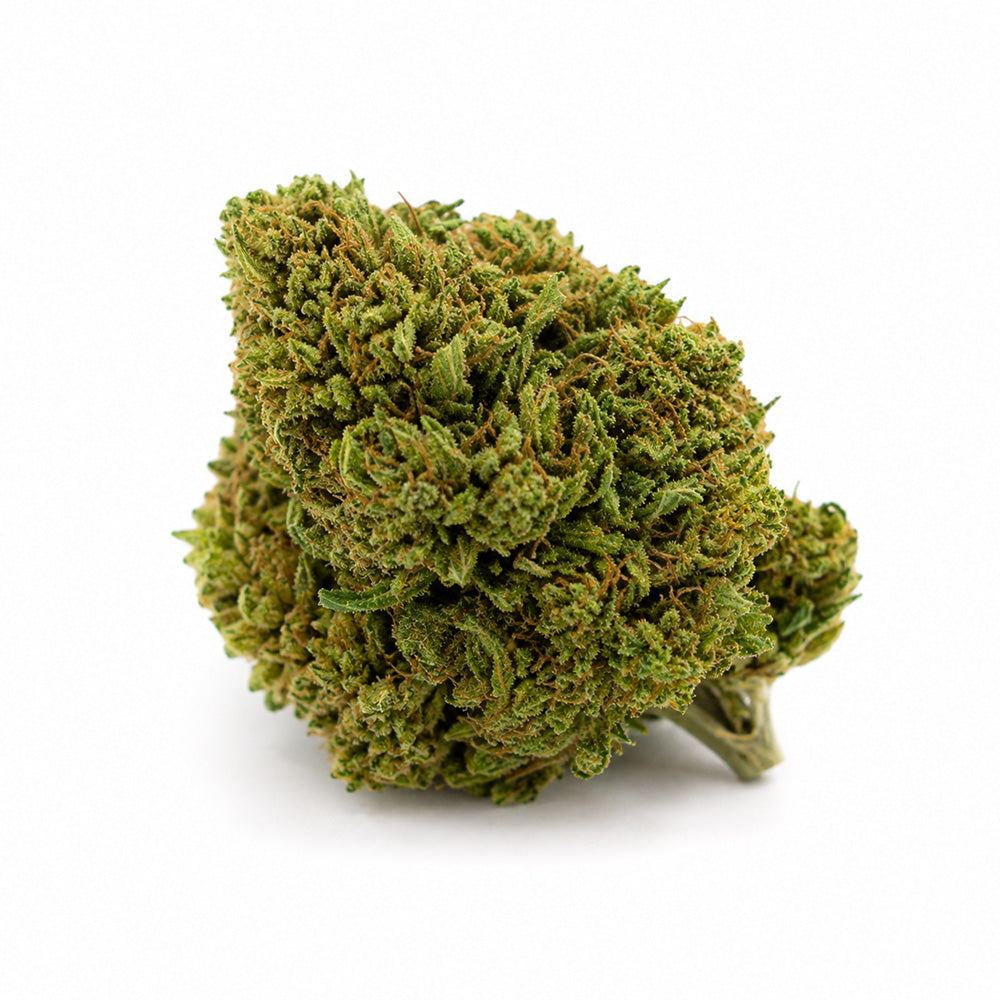 Amnesia Haze Infused Superior Blüten kaufen
