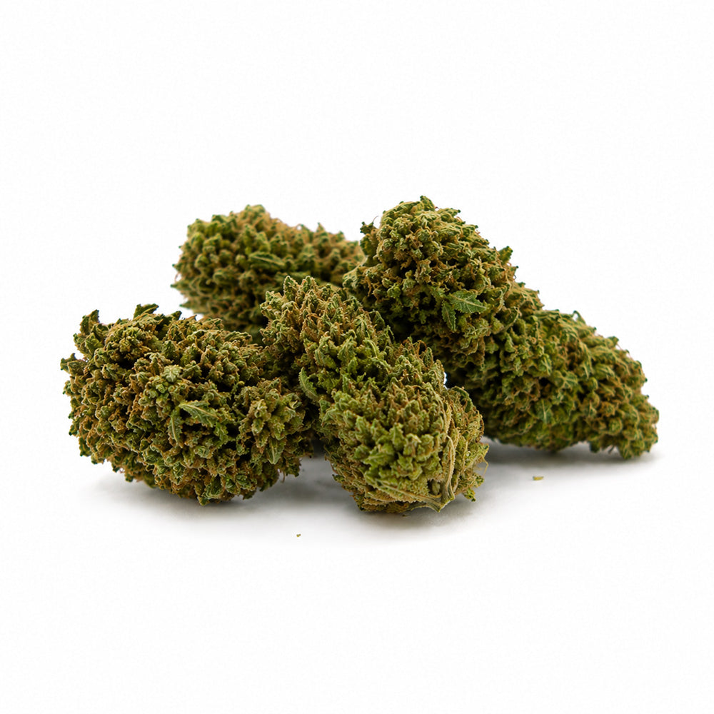 Lemon Haze CBD Blüten kaufen