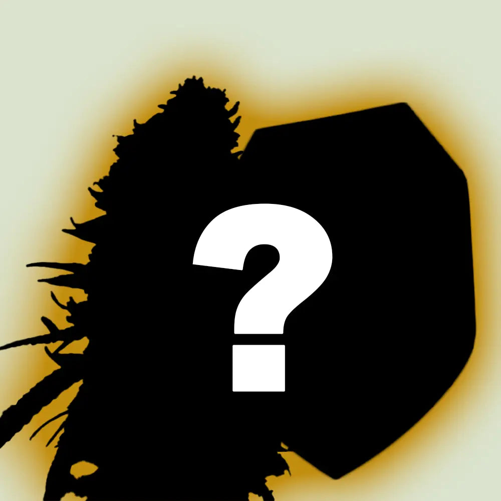 Royal Queen Seeds 5er Mystery Bundle Cannabissamen