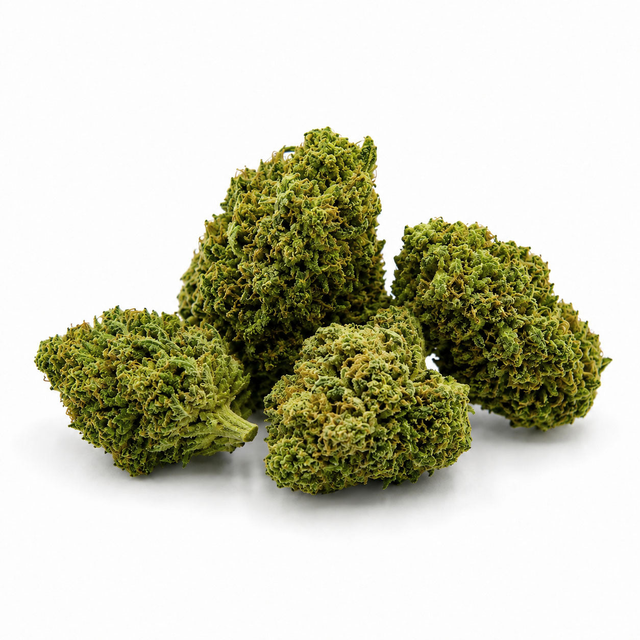 OG Kush CBD Blüten Hanf Discount