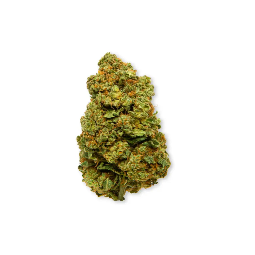 CBD Blüten Rising Haze