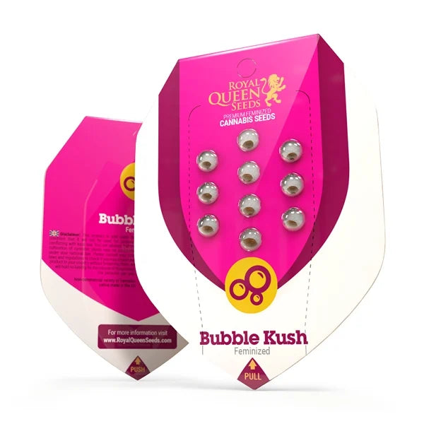 Royal Queen Seeds Feminisiert Bubble Kush Verpackung
