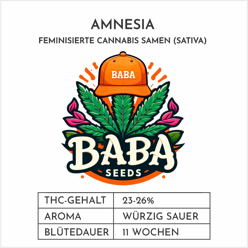 Baba Seeds Amnesia Feminisierte Cannabissamen Label