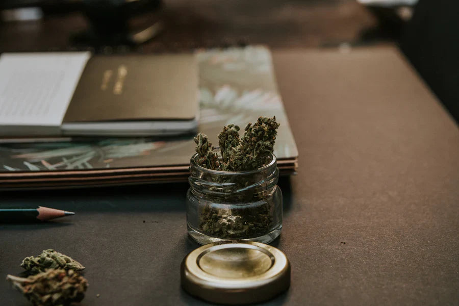 Wann kommt endlich die Legalisierung in Deutschland? Das ist der aktuelle Stand in Sachen Cannabis-Freigabe