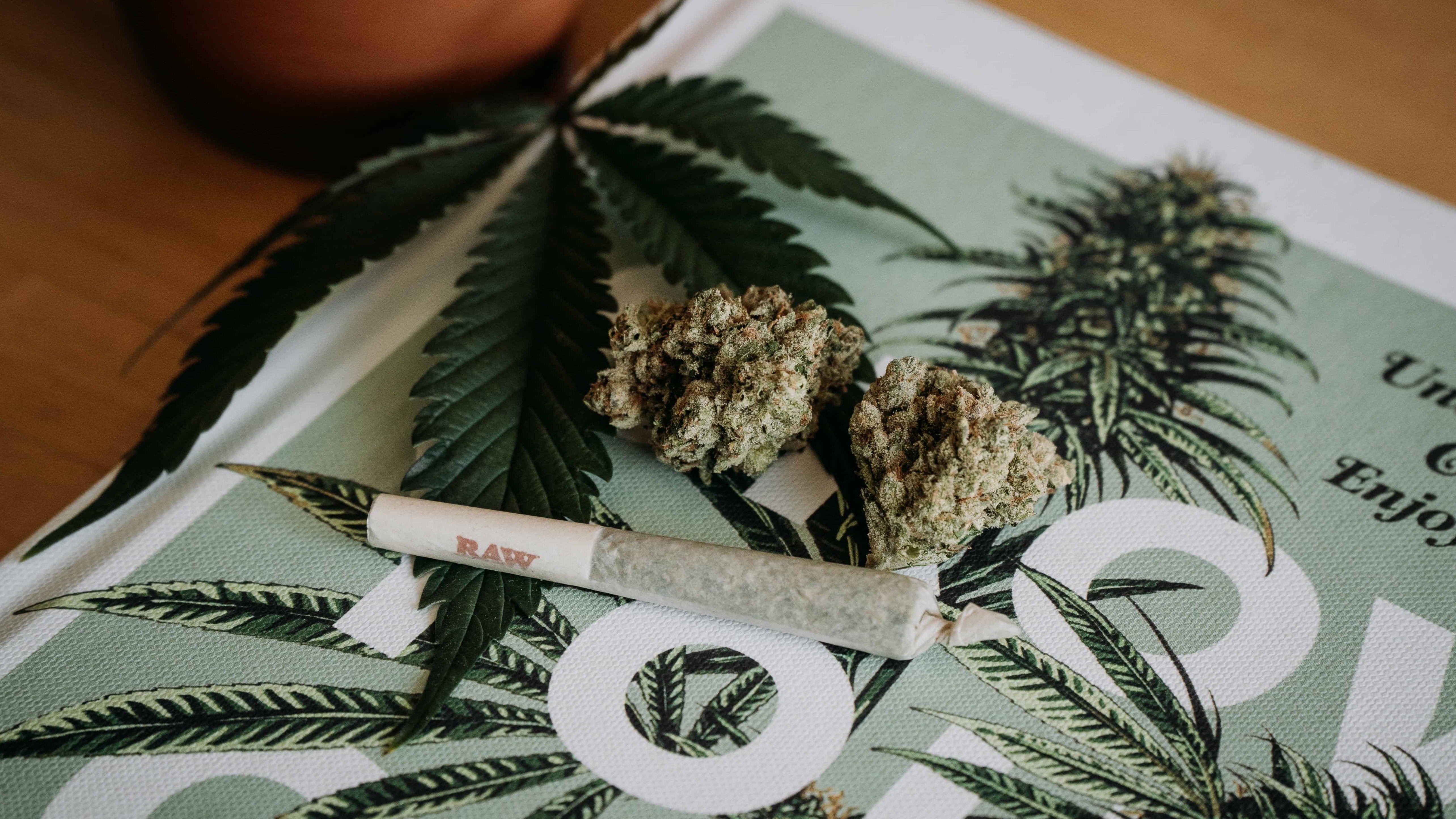 Cannabis Blüten - Alles was Sie wissen müssen