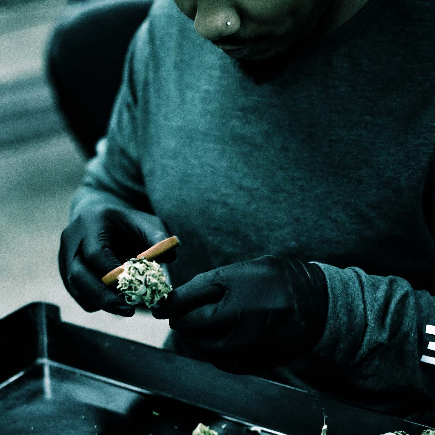 Cannabis Trim von Hand