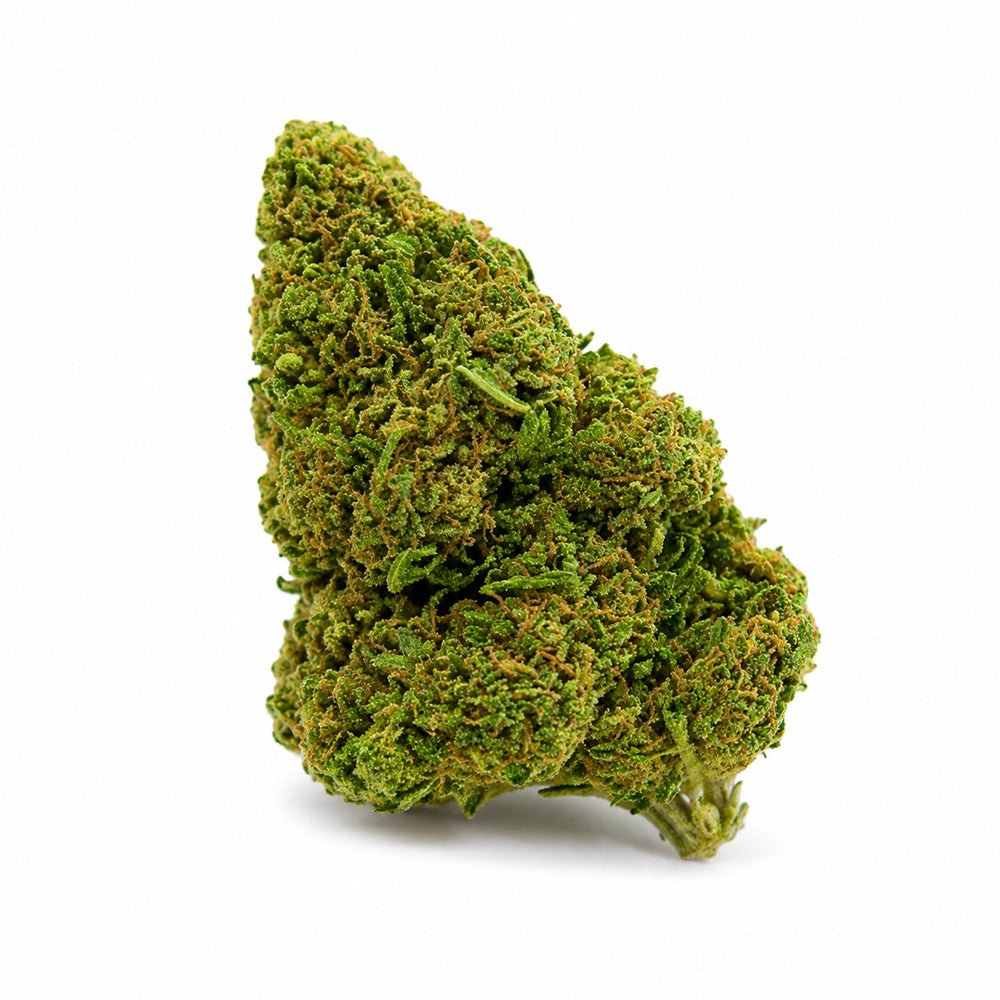 Critical Kush Infused Superior Blüten kaufen