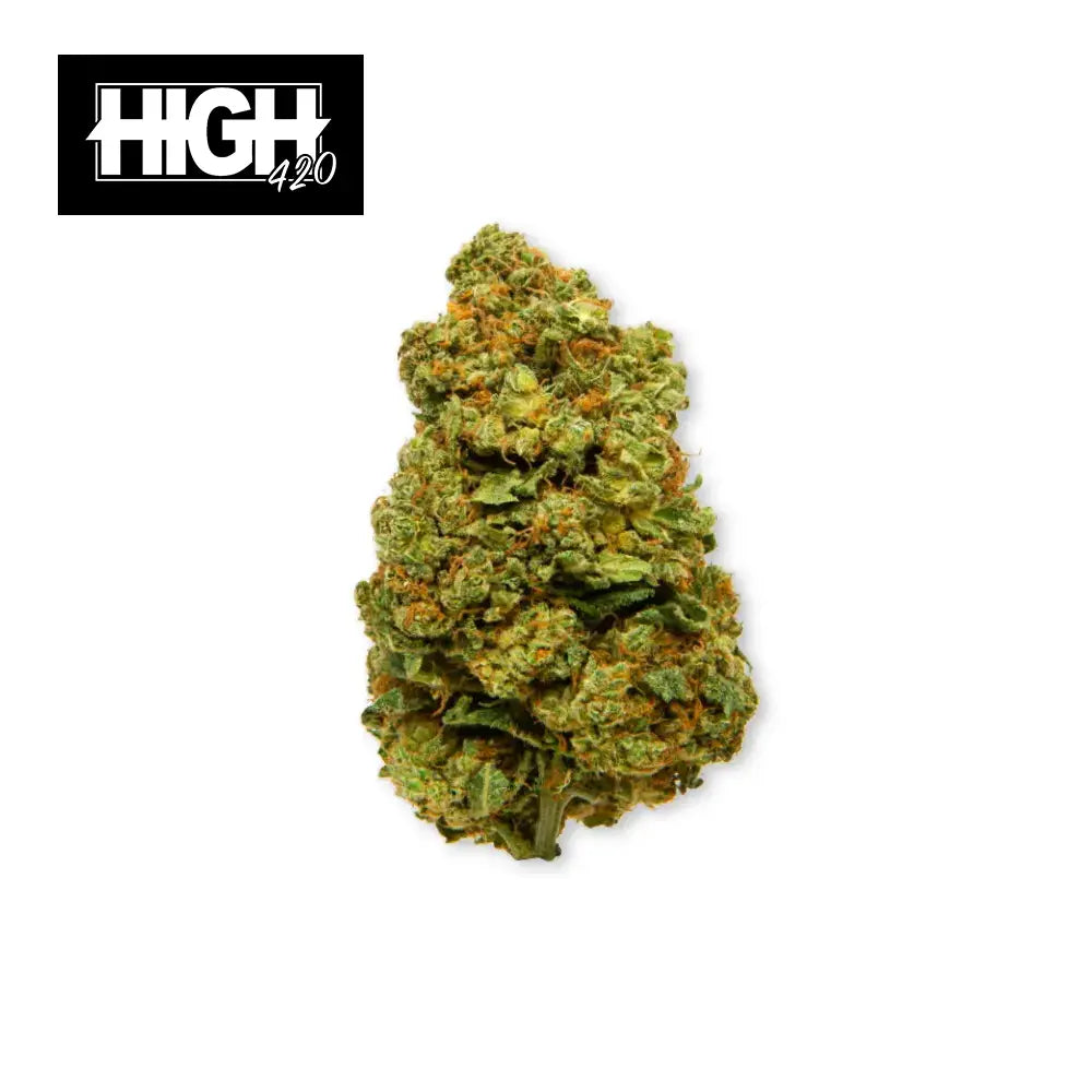 CBD Blüten Rising Haze