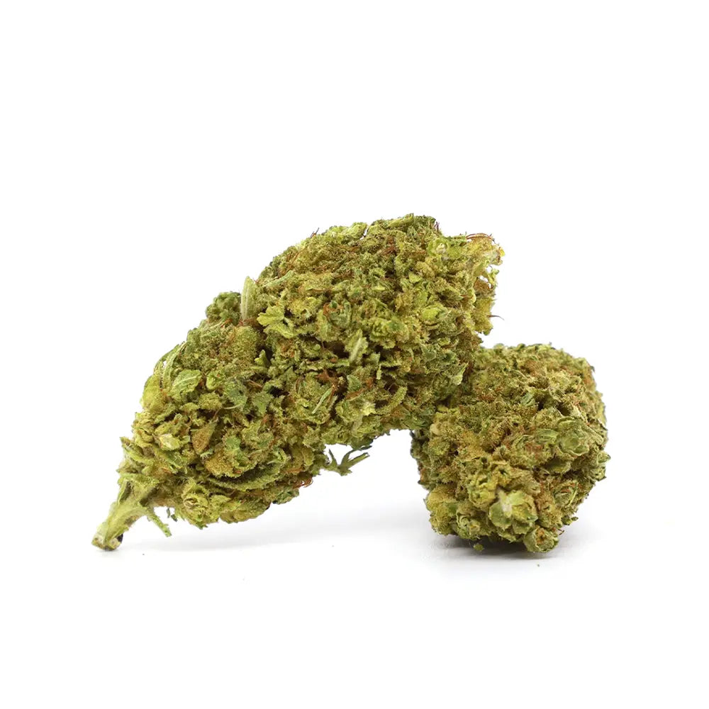 Infused Cannabis Blüten Oreoz