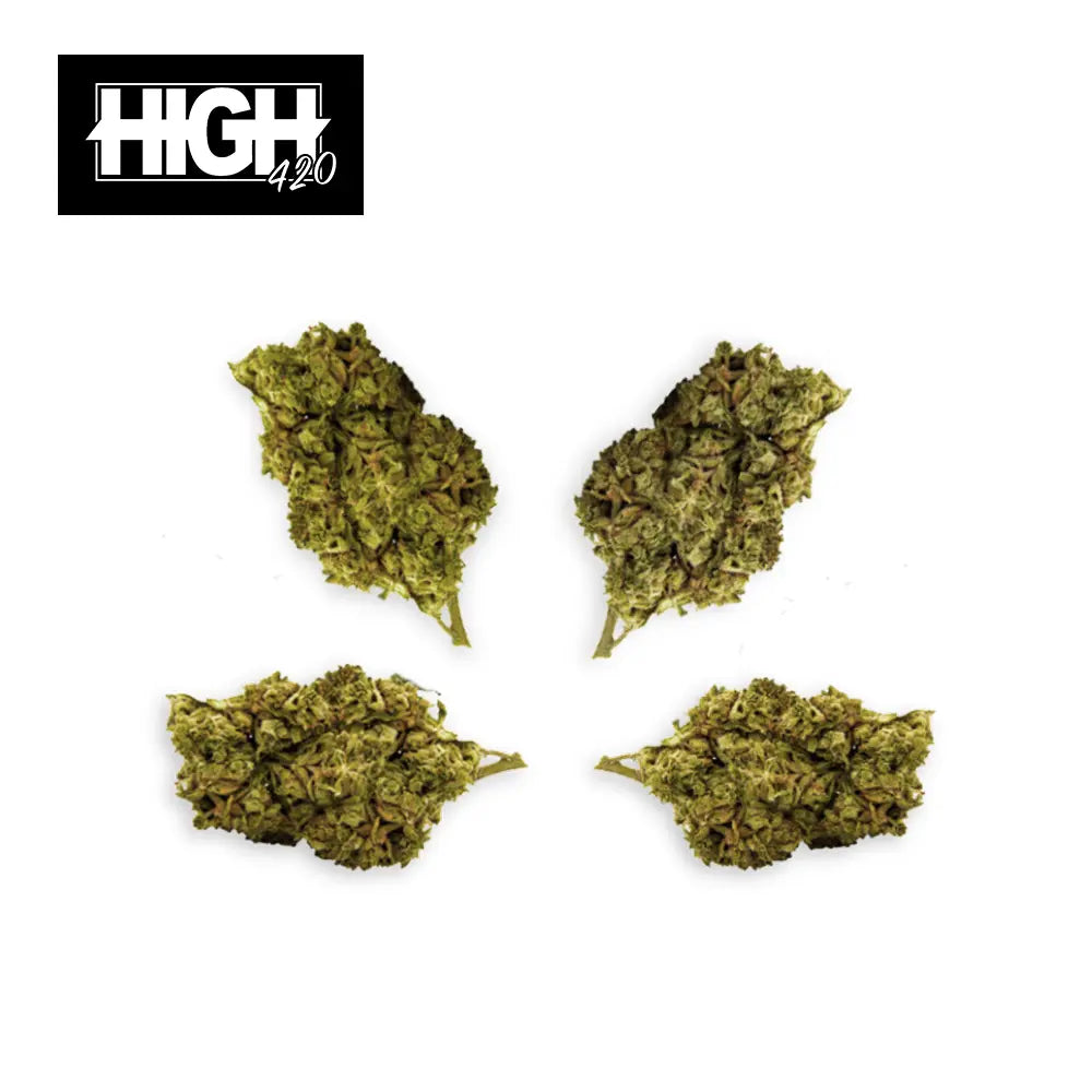 CBD Blüten Small Buds Super Silver Haze