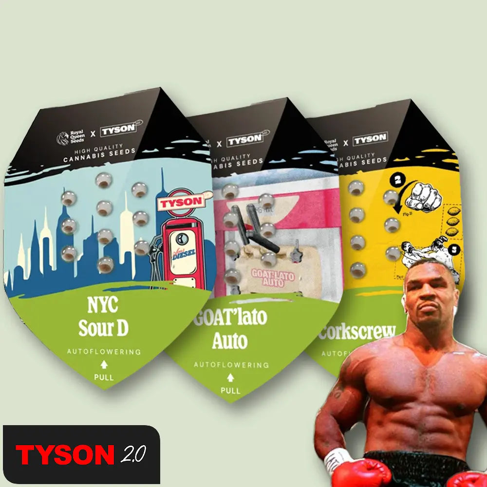 Royal Queen Seeds Tyson Bundle Autoflowering Cannabissamen