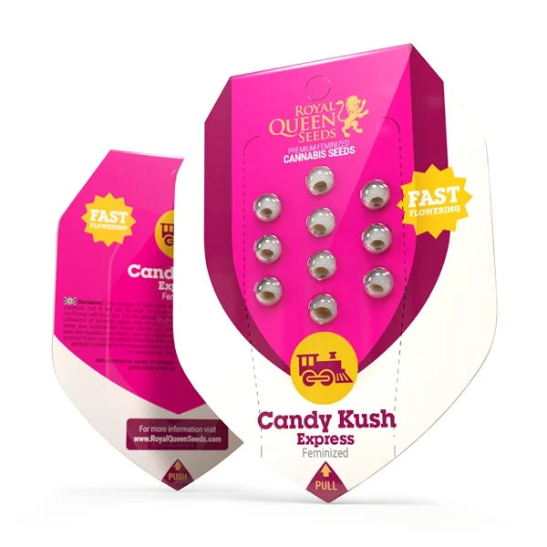 Royal Queen Seeds Feminisiert Candy Kush Express Verpackung