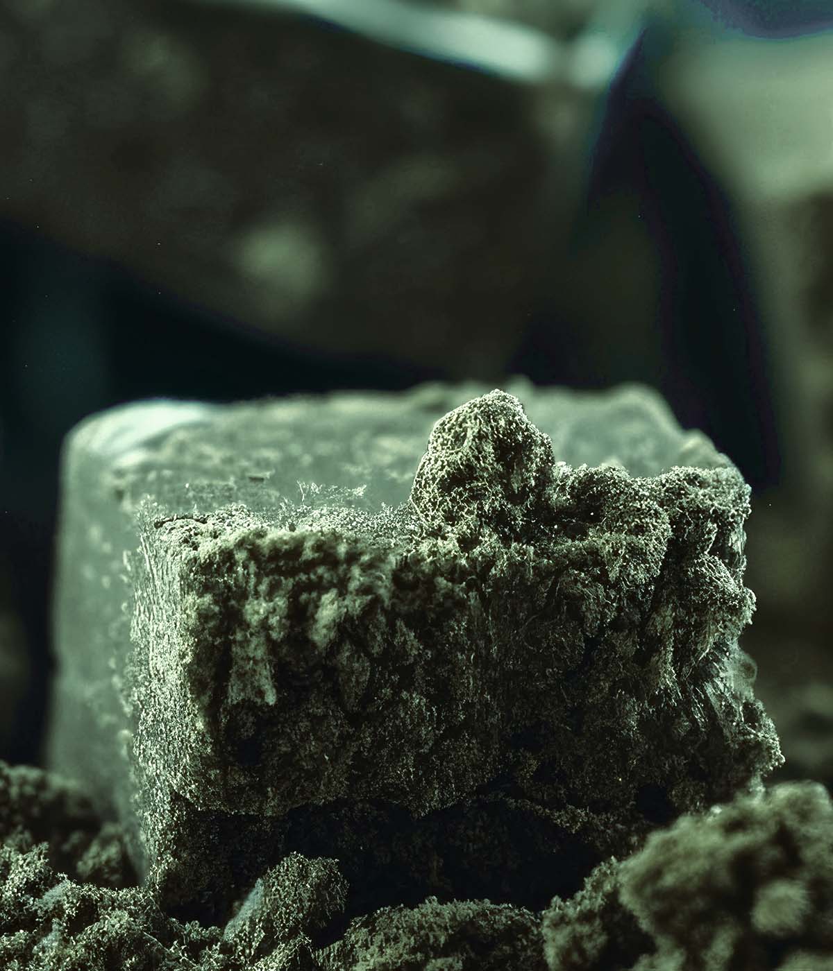 Infused Hasch in Premium Qualittät