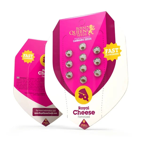 Royal Queen Seeds Feminisiert Royal Cheese Fast  Verpackung