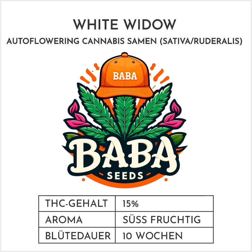 Baba Seeds White Widow Autoflowering Cannabissamen