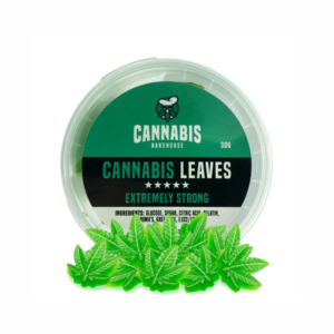 Cannabis Leaves_1