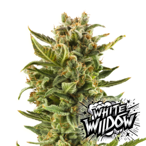 White Widow.png