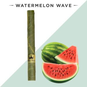 Watermelon-Wave-single-roll