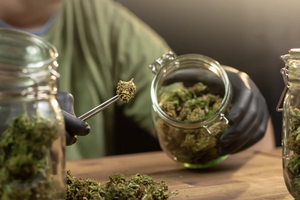 Cannabis Glas Shop - Hanf Discount - Hanf Discount