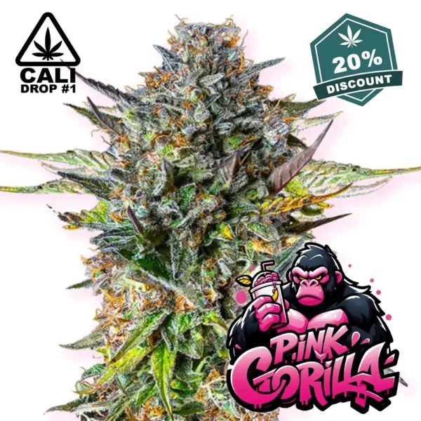 Baba Seeds Pink Gorilla Cali Cannabis Samen