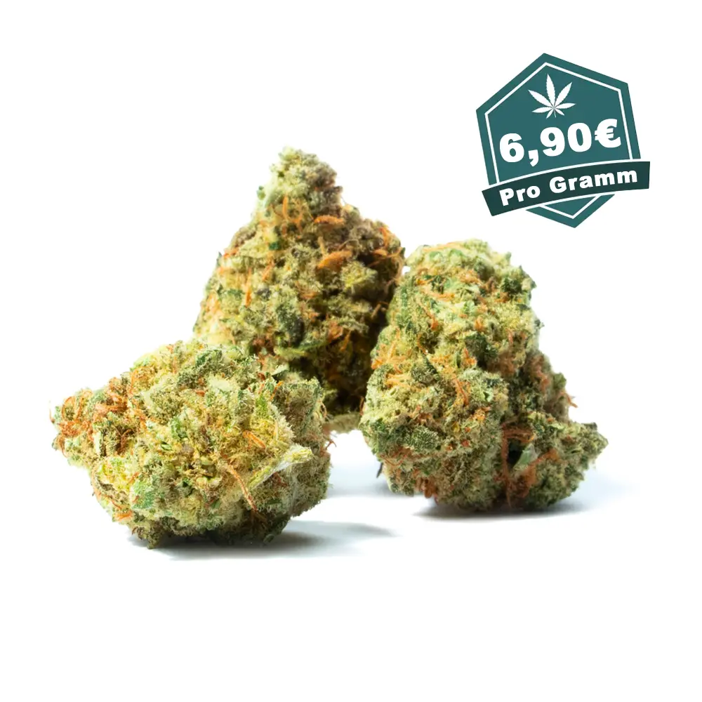Amnesia Hydro - Grammpreis.webp