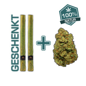 KingPalm_Blunt_CBD_Weed