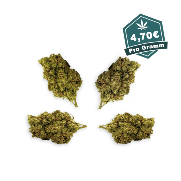 Silver Haze gramm.png