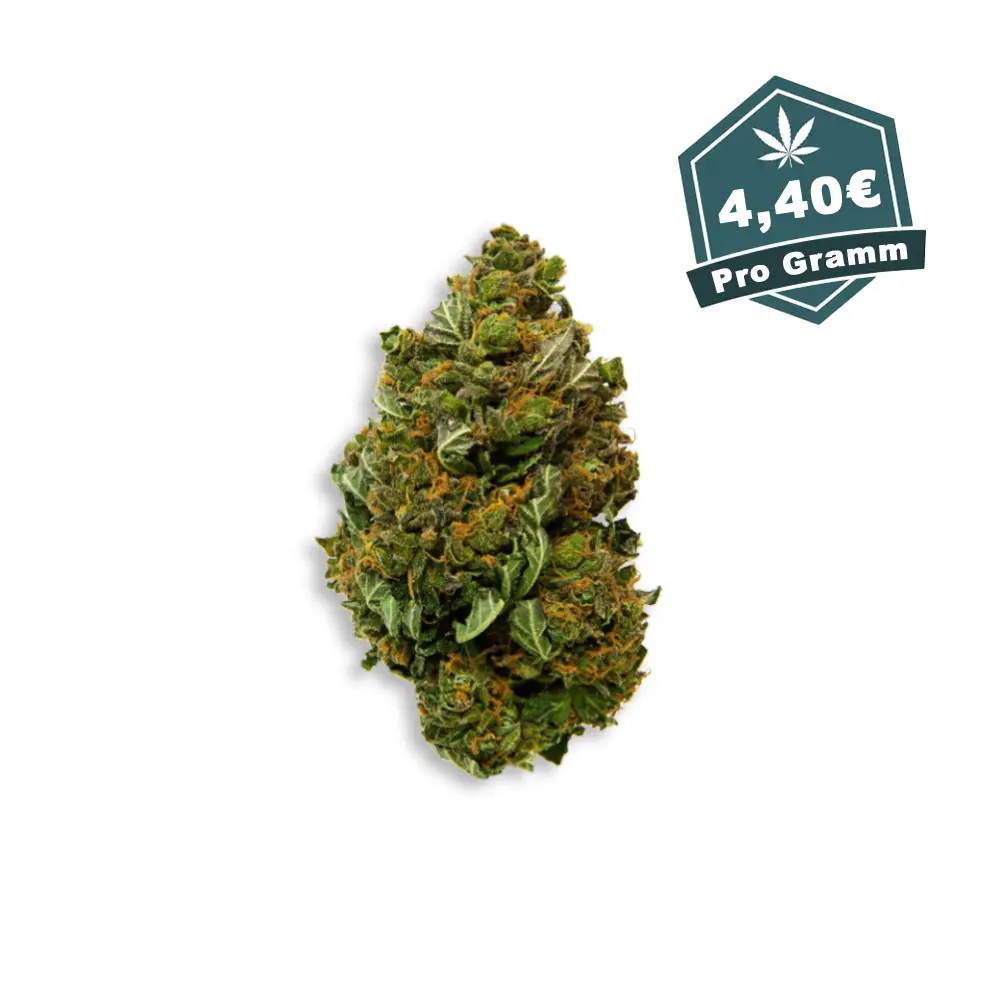 OG Kush 10-OH-HHC 10% Blueten Hanf Discount