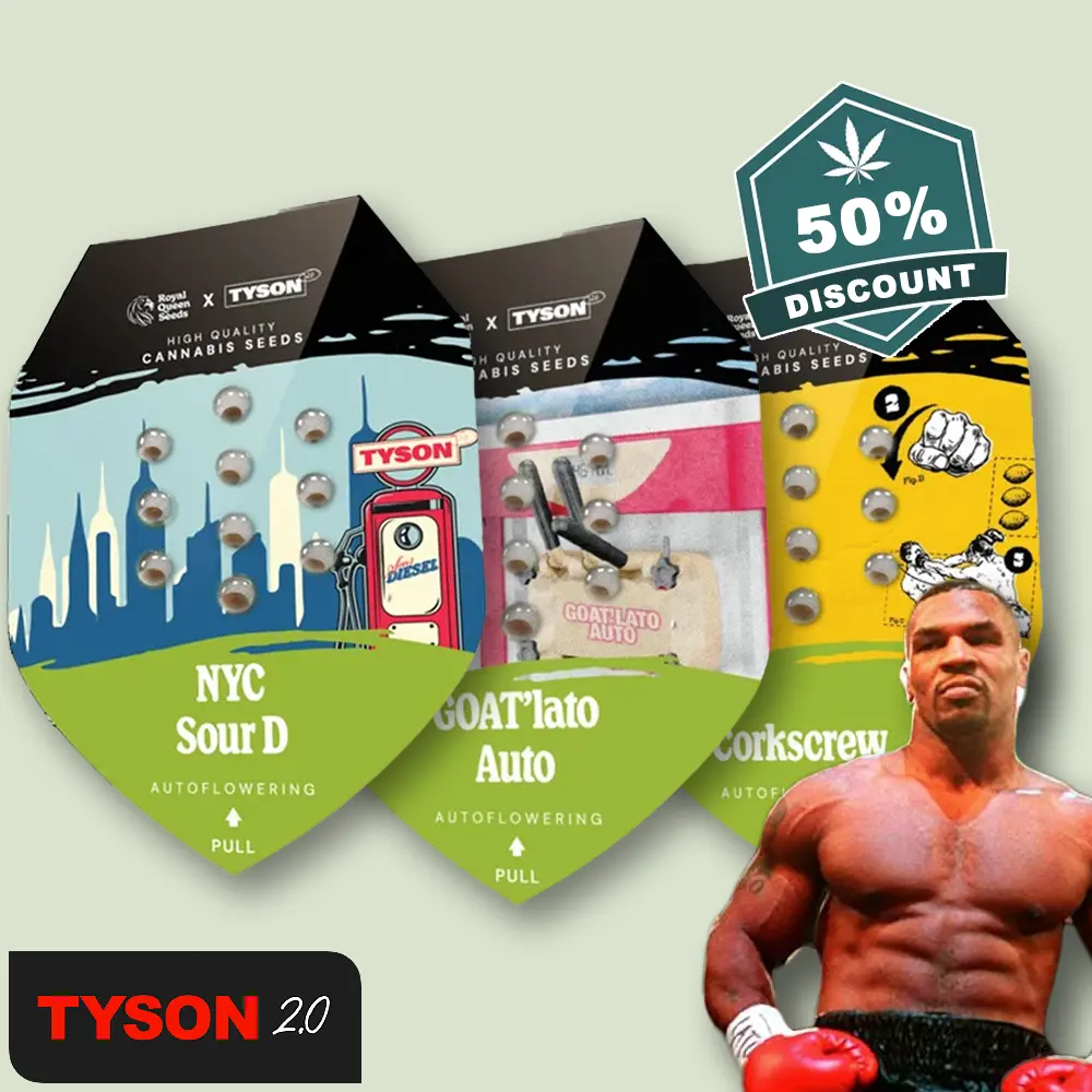  Tyson Bundle Auto HD.webp