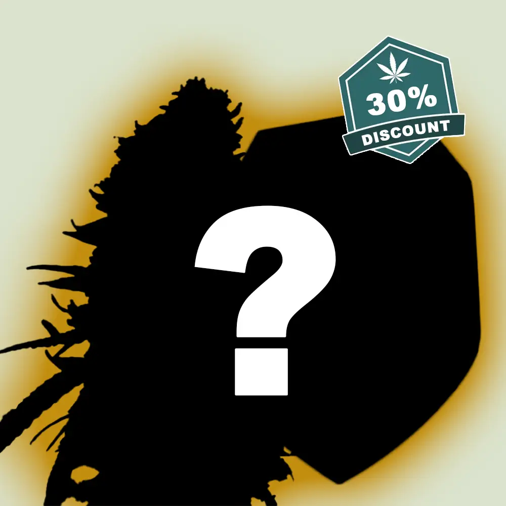 Royal Queen Seeds Mystery 5er Bundle 
