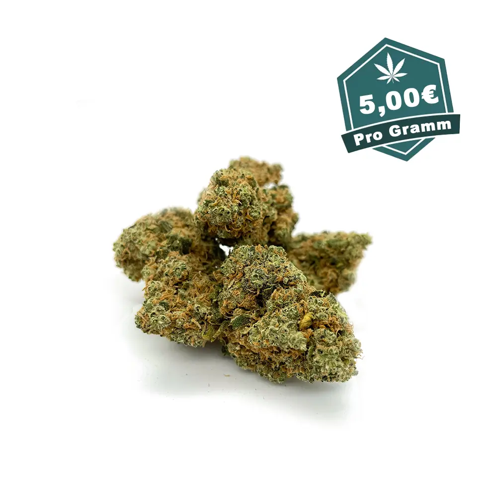 Blueberry Cake CBD Blueten Hanf Discount
