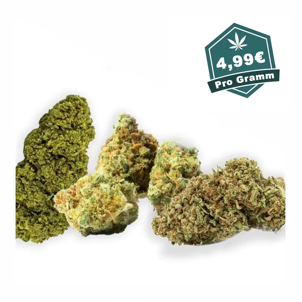 CBD Blu¨ten Bundle.webp