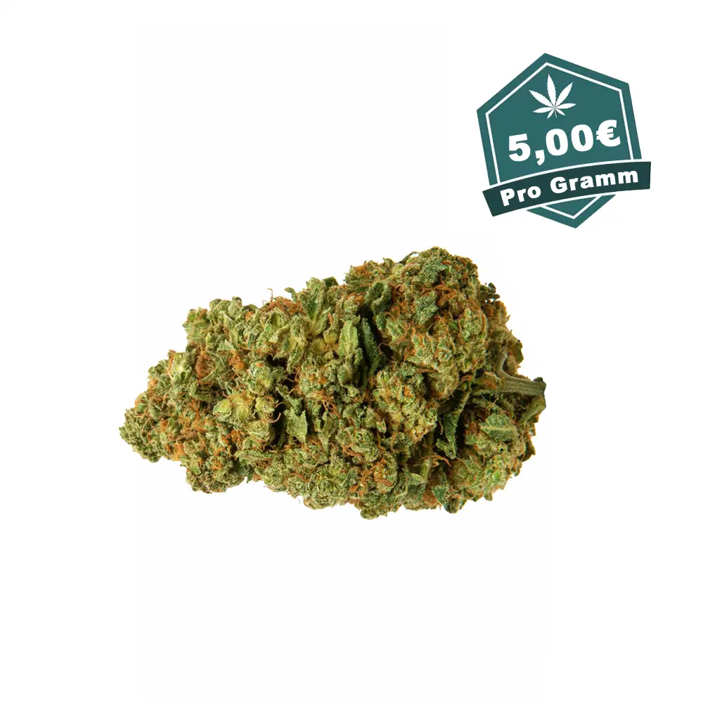 Rising Haze cbd Blueten