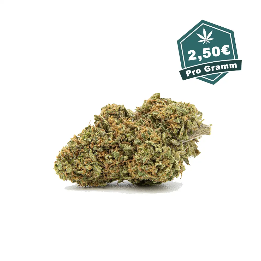 CBD Blueten Gorilla Glue vom Hanf Discount