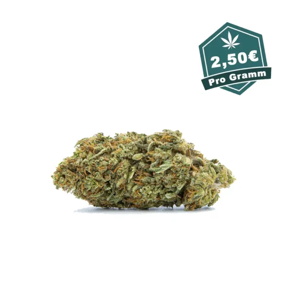 CBD Blueten Lemon Haze vom Hanf Discount