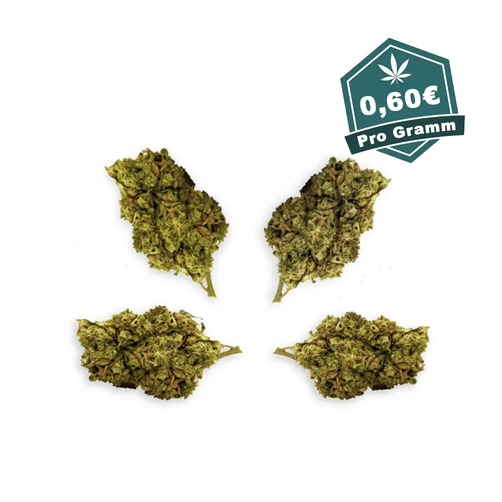 Small Haze Silver Haze - Discount.webp