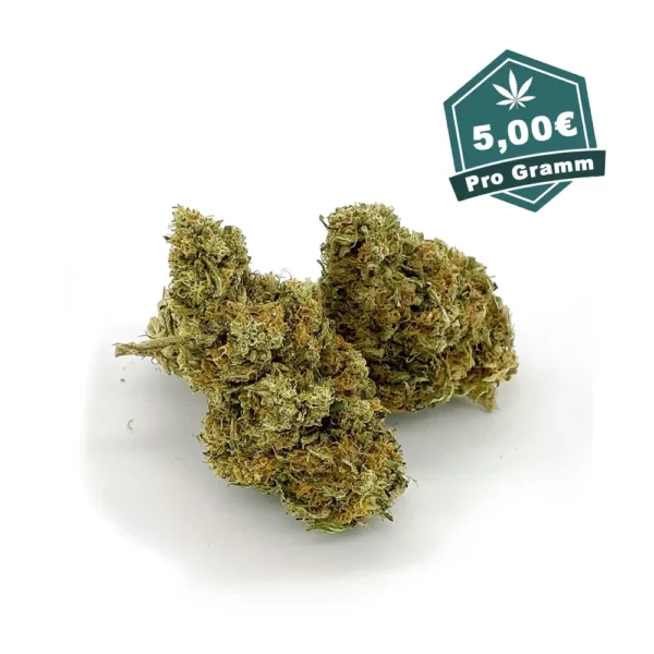 Tropical skunk CBD Blueten Hanf Discount
