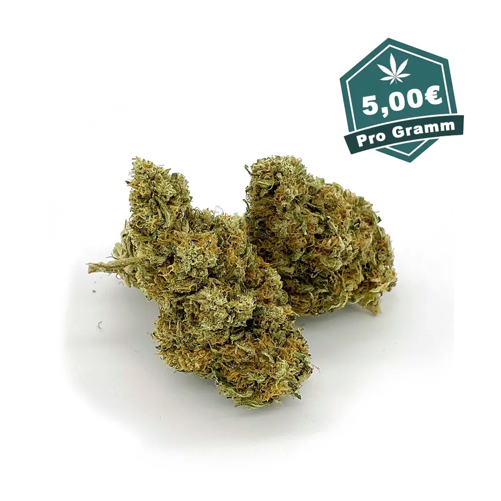 Tropical skunk CBD Blueten Hanf Discount