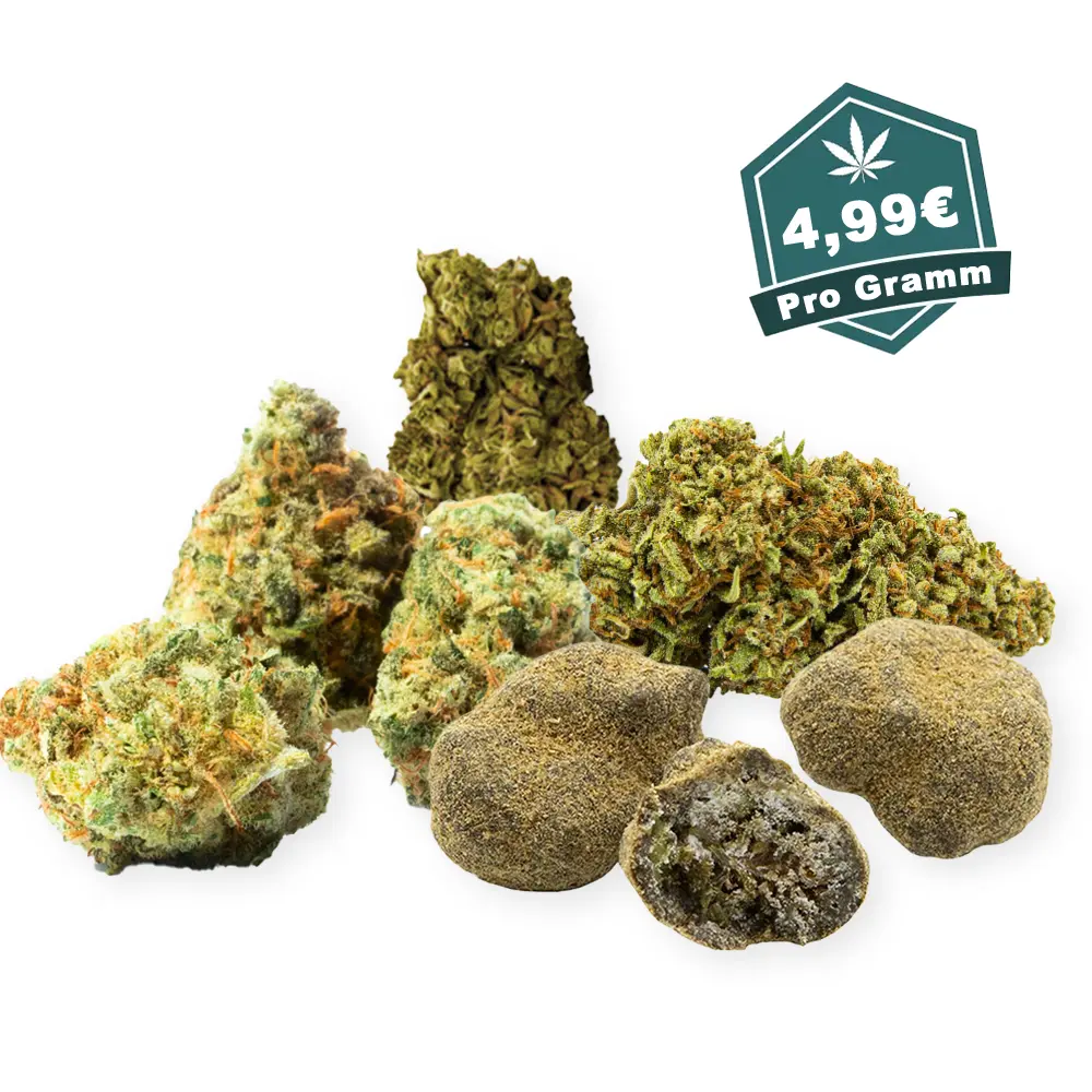 CBD Blu¨ten Bundle.webp