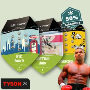 Tyson Bundle Auto HD-webp - Hanf Discount  Tyson Bundle Auto HD.webp