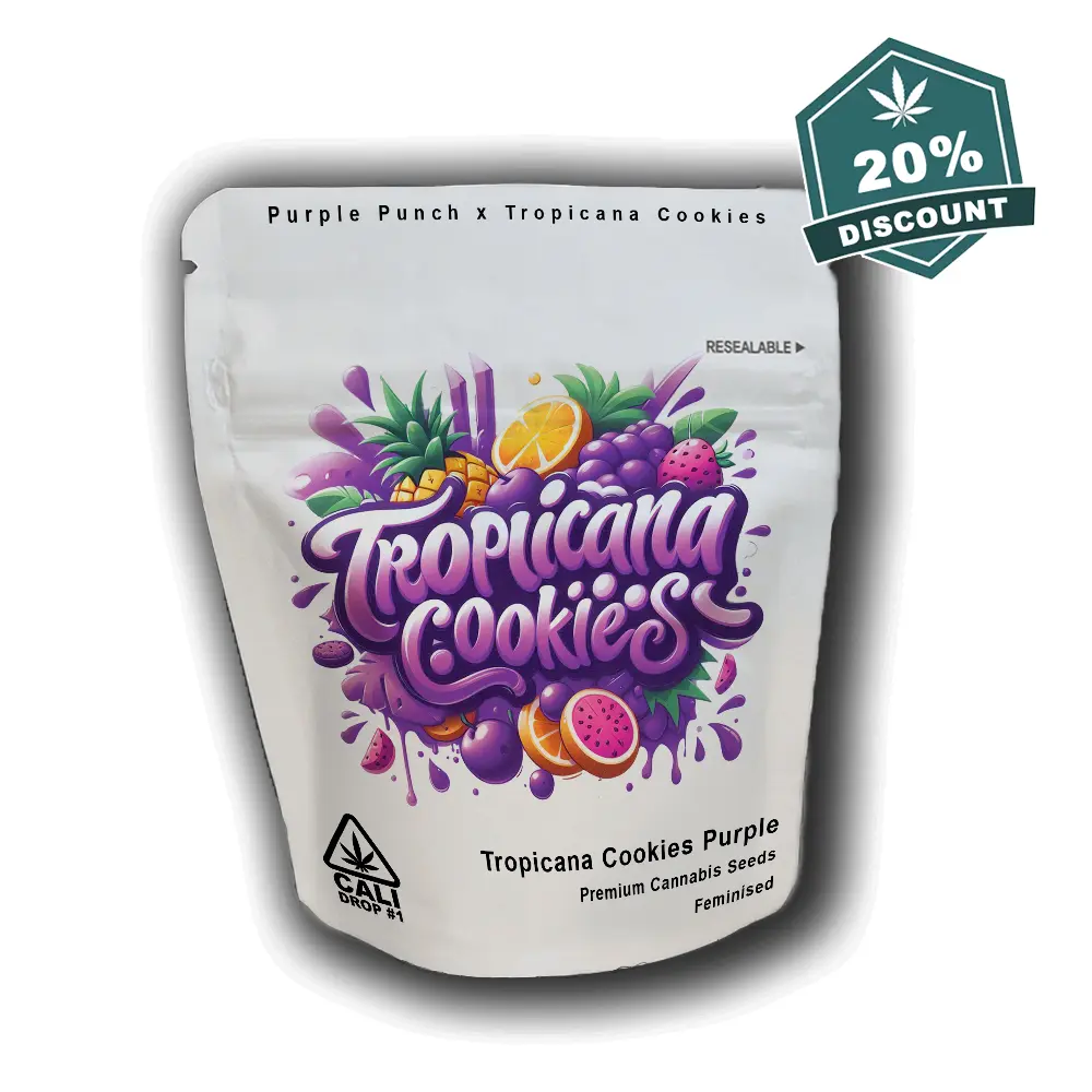 Baba Seeds Tropicana Cookies Purple Verpackung - Hanf Discount Baba Seeds Tropicana Cookies Purple Cali Cannabis Samen Verpackung