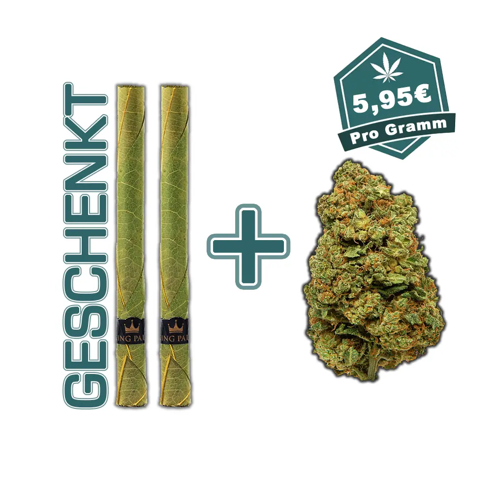 KingPalm_Blunt_CBD_Weed - Hanf Discount KingPalm_Blunt_CBD_Weed