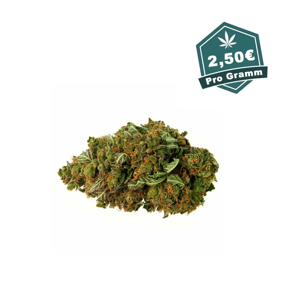 OG Kush CBD - Hanf Discount CBD Blueten OG Kush Hanf Discount