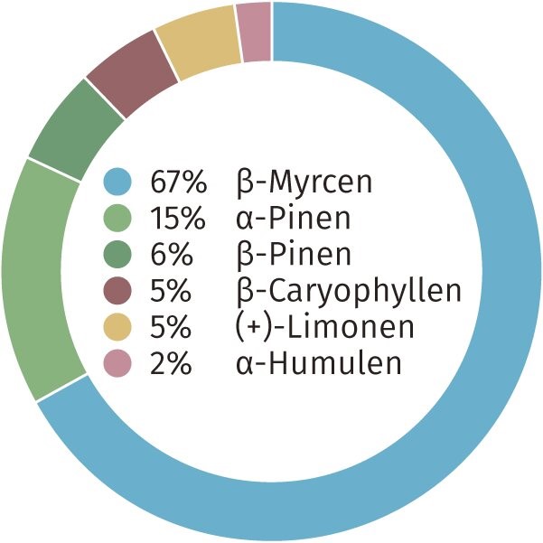 OG Kush Terpene - Hanf Discount Terpenprofil OG Kush CBD