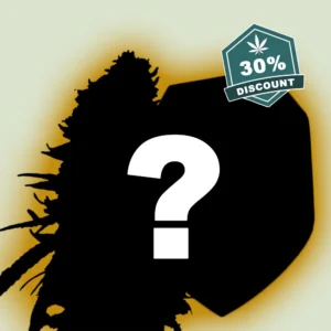 RQS Mystery 5er Bundle - Hanf Discount Royal Queen Seeds Mystery 5er Bundle