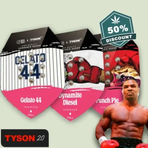 RQS Tyson Fem Bundle - Hanf Discount Royal Queen Seeds Tyson 2.0 Fem Bundle