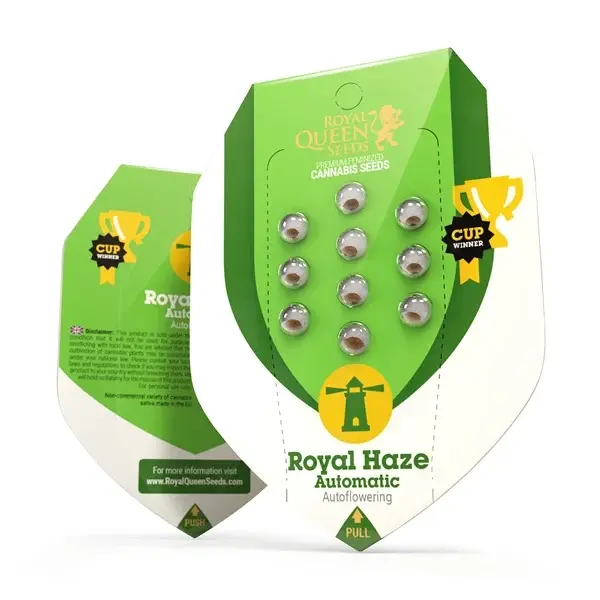 Royal Haze Autoflowering I Royal Queen Seeds Verpackung - Hanf Discount Royal Haze Autoflowering I Royal Queen Seeds Cannabis Samen Verpackung