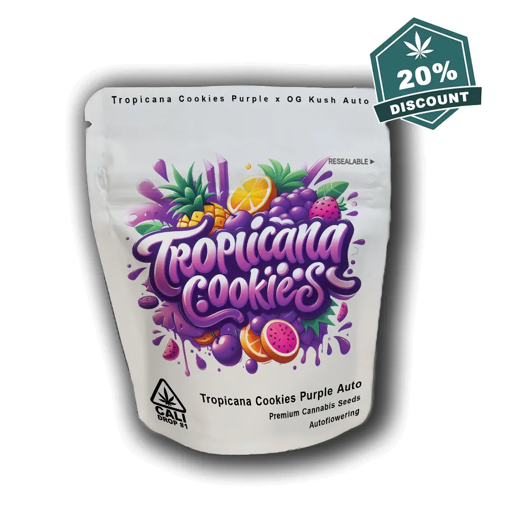 Tropicana Cookies Purple auto - Baba Seeds Verpackung - Hanf Discount Tropicana Cookies Purple auto - Baba Seeds - 20% Deal Verpackung